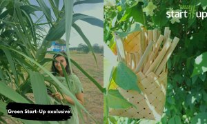 The Romanian business that uses reeds to replace plastic or paper straws
