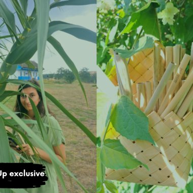 The Romanian business that uses reeds to replace plastic or paper straws