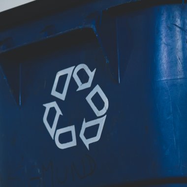 Recycling. What it is, why it is important and how you can do it better