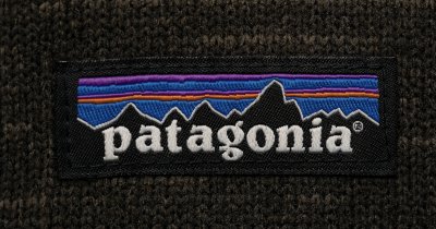 Fashion retailer Patagonia, given away by the founder to fight climate change