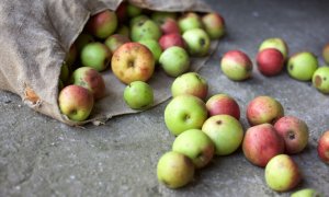 Cum arată risipa alimentară în domeniul HoReCa în România?