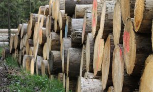 Cum ne poate ajuta biomasa să utilizăm corect dioxidul de carbon