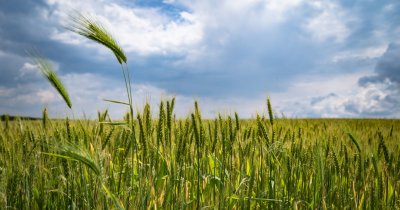 Agricultura regenerativă, tot mai importantă în contextul schimbărilor climatice