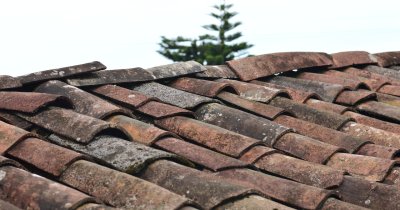 Cum ne pot ajuta ciupercile să reciclăm acoperișurile vechi