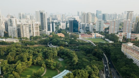 Cum pot ONG-urile să contribuie la dezvoltarea „orașelor verzi”