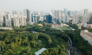 How can NGOs contribute to the development of "green cities"