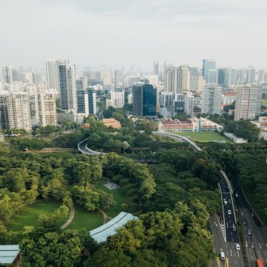 How can NGOs contribute to the development of "green cities"