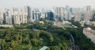 How can NGOs contribute to the development of "green cities"