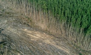 EU countries ban the import of products linked to deforestation