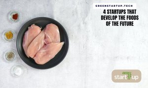 Four startups that want to bring you healthier alternatives on the plate