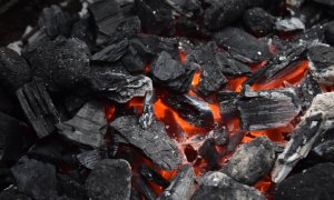 Coal use could reach an all-time high this year, according to experts