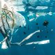 O parte din plasticul din ocean este consumat de bacterii, spun cercetătorii