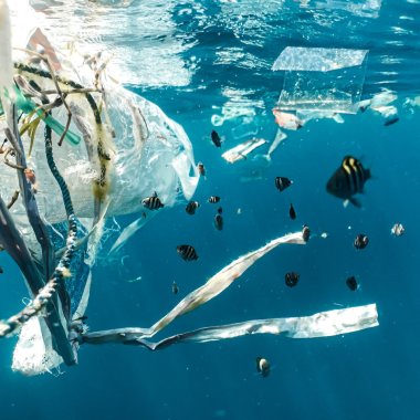 Some of the plastic waste in the ocean gets consumed by bacteria, scientists say