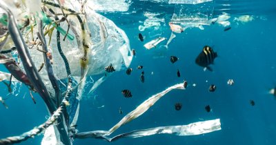 Some of the plastic waste in the ocean gets consumed by bacteria, scientists say