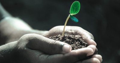 Cercetători din întreaga lume, concentrați pe salvarea solului