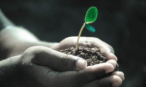 Improving soil quality, the focus of worldwide scientists