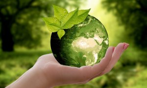 Sustainability. What it is and why we have to become sustainable