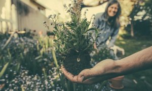 Soluții eco-friendly care te pot ajuta să ai recolte mai bogate și mai sănătoase