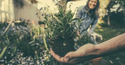 Soluții eco-friendly care te pot ajuta să ai recolte mai bogate și mai sănătoase