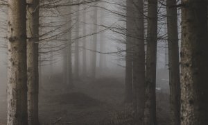 Natura este „victima tăcută” a conflictelor militare