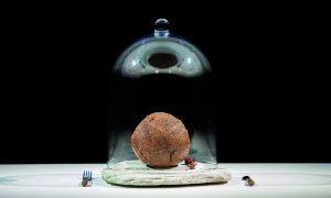 Carnea de laborator ne poate ajuta să creștem biodiversitatea planetei