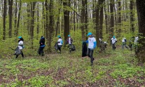 Sarantis România și Let’s Do It România curăță pădurea Lucianca