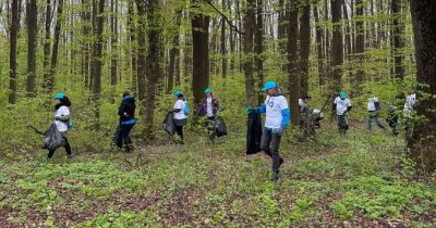 Sarantis România și Let’s Do It România curăță pădurea Lucianca