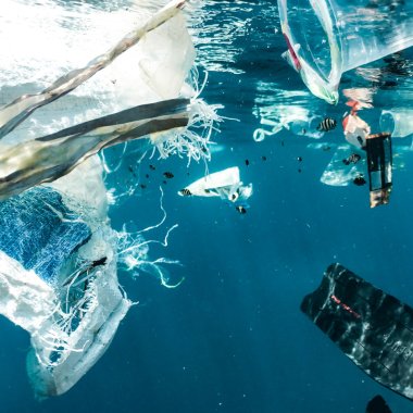 The Great Pacific Garbage Patch is a dangerous home to some marine species