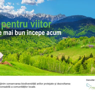 Fundația OMV Petrom lansează „Verde pentru viitor” pentru promovarea biodiversității