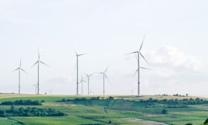 Planul Olandei de 28 mld. euro pentru neutralitate climatică națională
