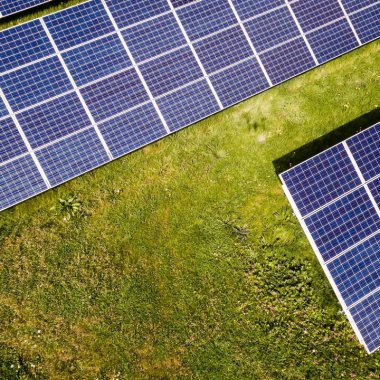 How animals can help us maintain our photovoltaic fields clean
