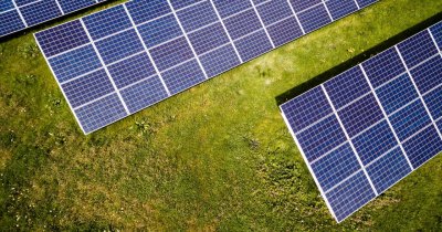 How animals can help us maintain our photovoltaic fields clean
