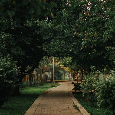 Spațiile verzi ar putea fi elixirul tinereții pentru zonele urbane, spun experții
