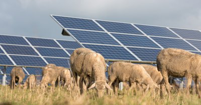 TotalEnergies investește în cinci proiecte de energie regenerabilă în România