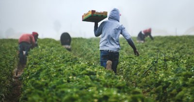 Planul UE pentru un sistem agro-alimentar european mai rezilient