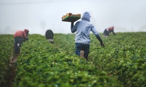 EU's plan for a more resilient European food and farming system