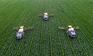 Walmart și PepsiCo investesc 120 mil. USD în practici agricole sustenabile