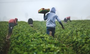 An agricultural corporation wants to end world hunger for good