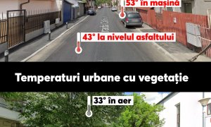 7 modalități prin care Bucureștiul ar putea fi mai răcoros