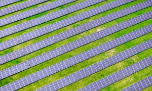 Românii care au instalat o treime din panourile solare ale companiilor din țară