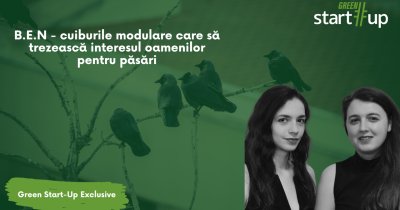 Arhitectele ce creează cuiburi modulare pentru a ne aduce mai aproape de păsări