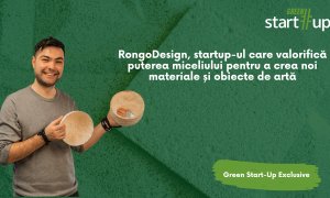 Ghici ciupercă ce-i: RongoDesign, startup-ul care valorifică un supermaterial din natură