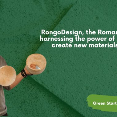 RongoDesign, the startup harnessing the power of mycelium for new materials