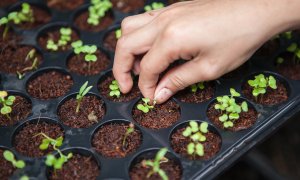 Hydroponics give us stable food supplies even when the drought hits