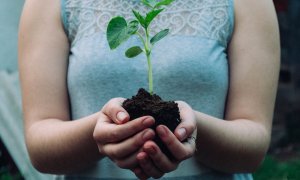 World's largest corporations work together to reforest the entire planet