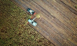 Un investitor pregătește 1.7 mld. USD pentru o industrie alimentară sustenabilă