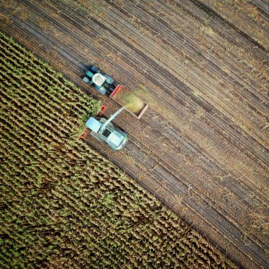 Un investitor pregătește 1.7 mld. USD pentru o industrie alimentară sustenabilă