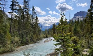 The world's greates investors urge companies to preserve nature's ecosystems