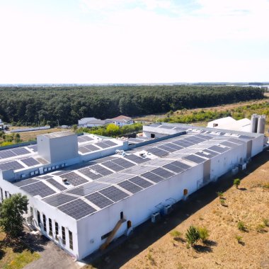 Promateris, producție de ambalaje bio-based sustenabilă cu energie regenerabilă