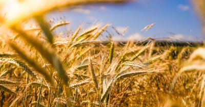 Fermierul ucrainean care propune o soluție completă pentru agricultura sustenabilă